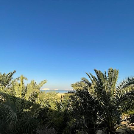 The Nest Otel Siwa Oasis Dış mekan fotoğraf