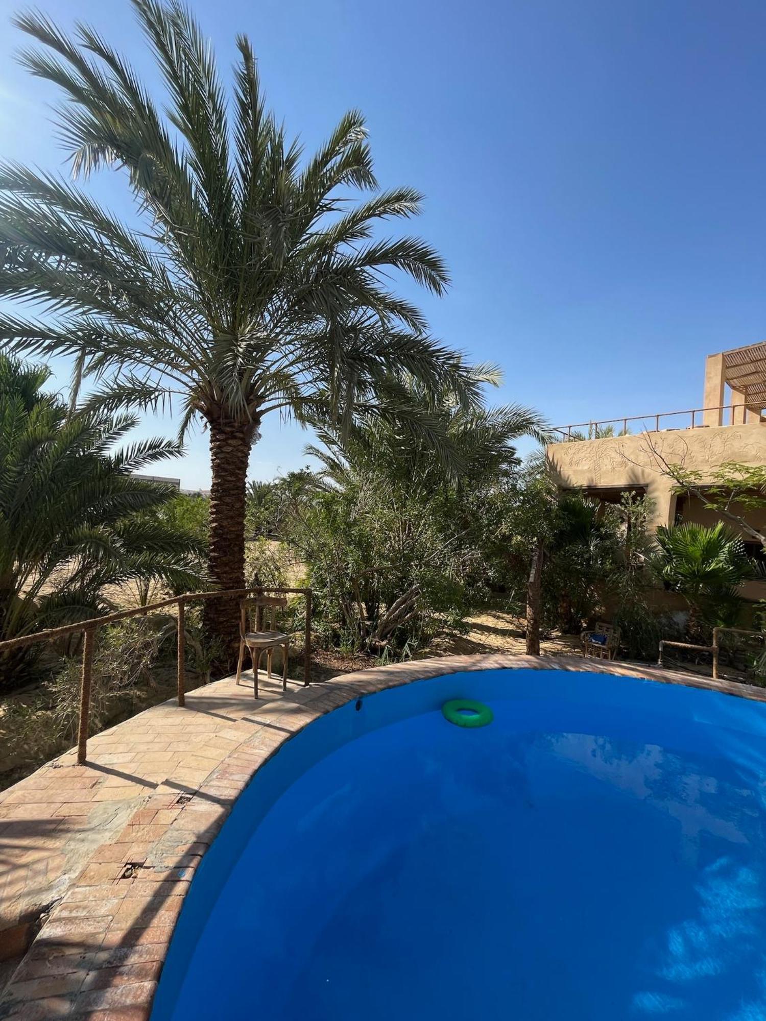 The Nest Otel Siwa Oasis Dış mekan fotoğraf
