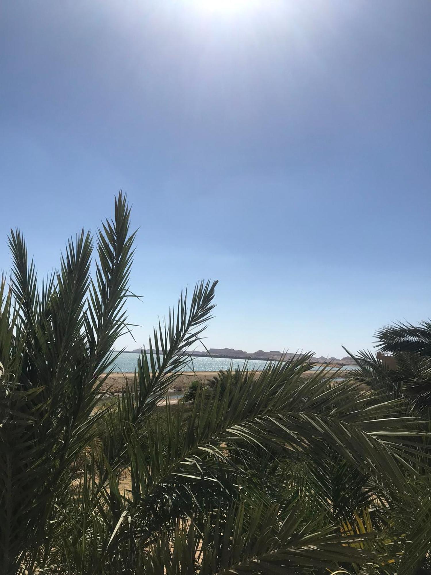 The Nest Otel Siwa Oasis Dış mekan fotoğraf