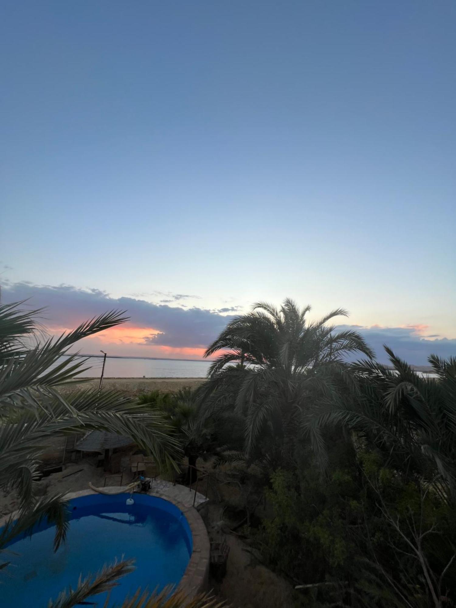 The Nest Otel Siwa Oasis Dış mekan fotoğraf