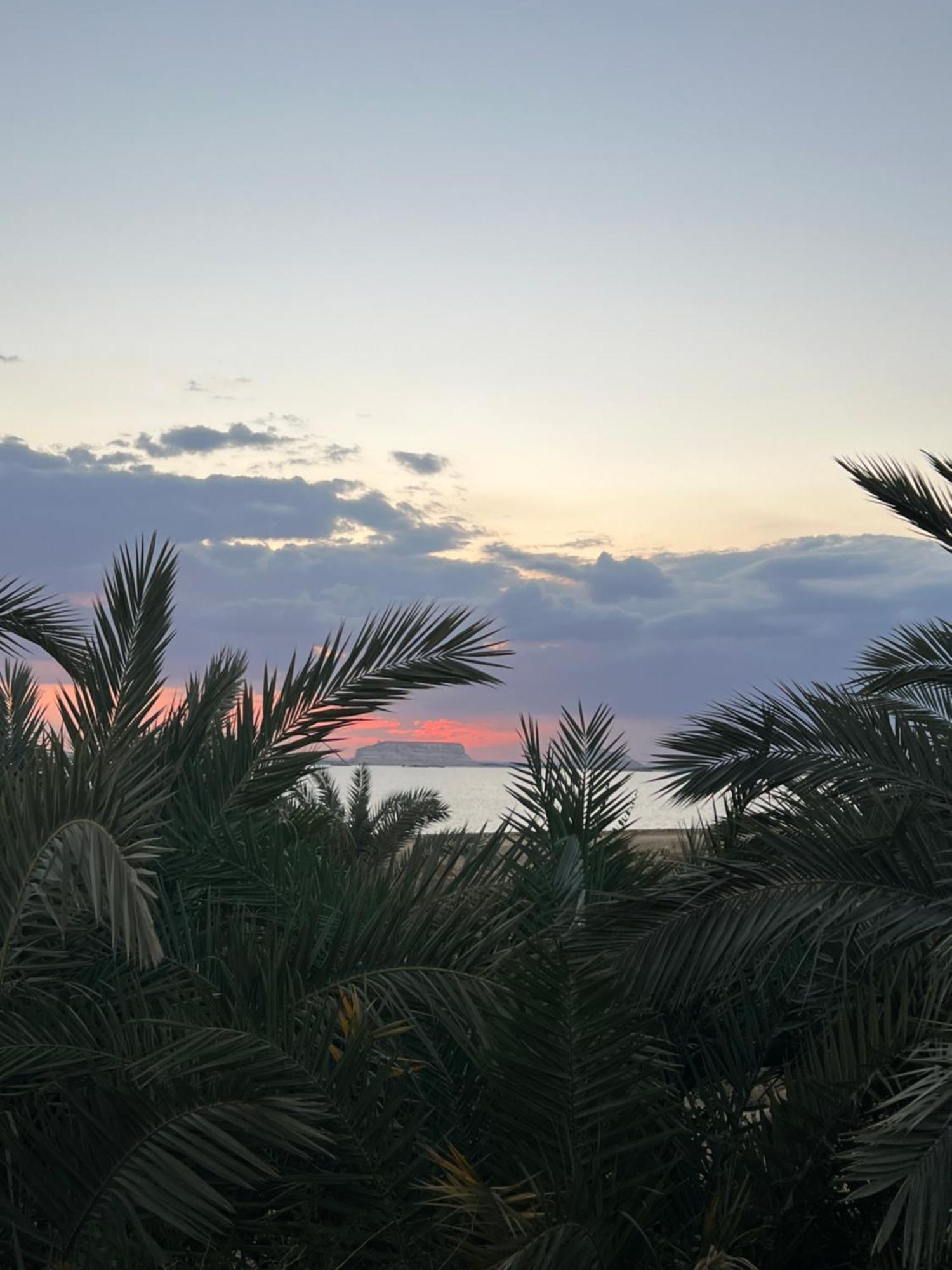 The Nest Otel Siwa Oasis Dış mekan fotoğraf