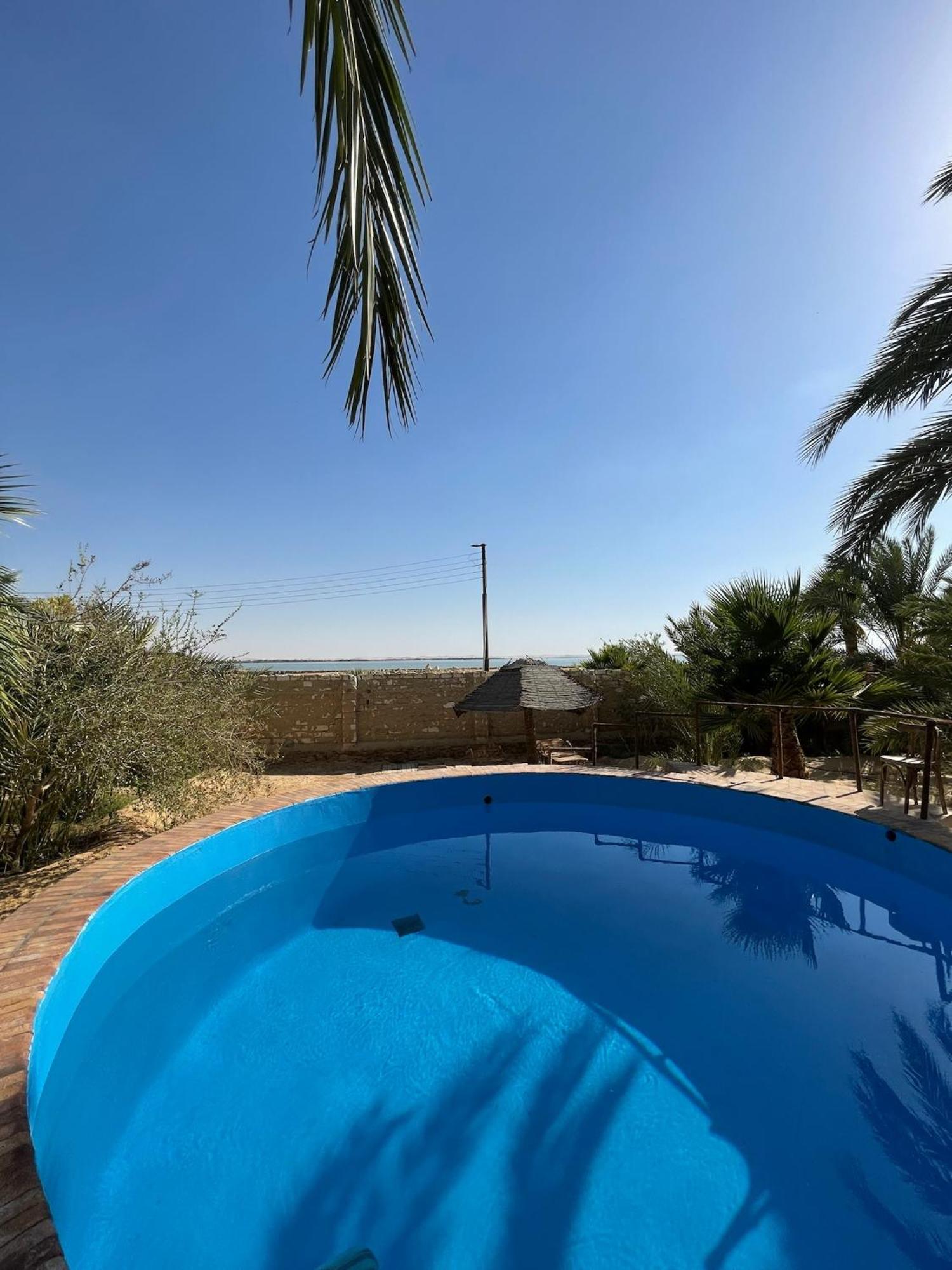 The Nest Otel Siwa Oasis Dış mekan fotoğraf