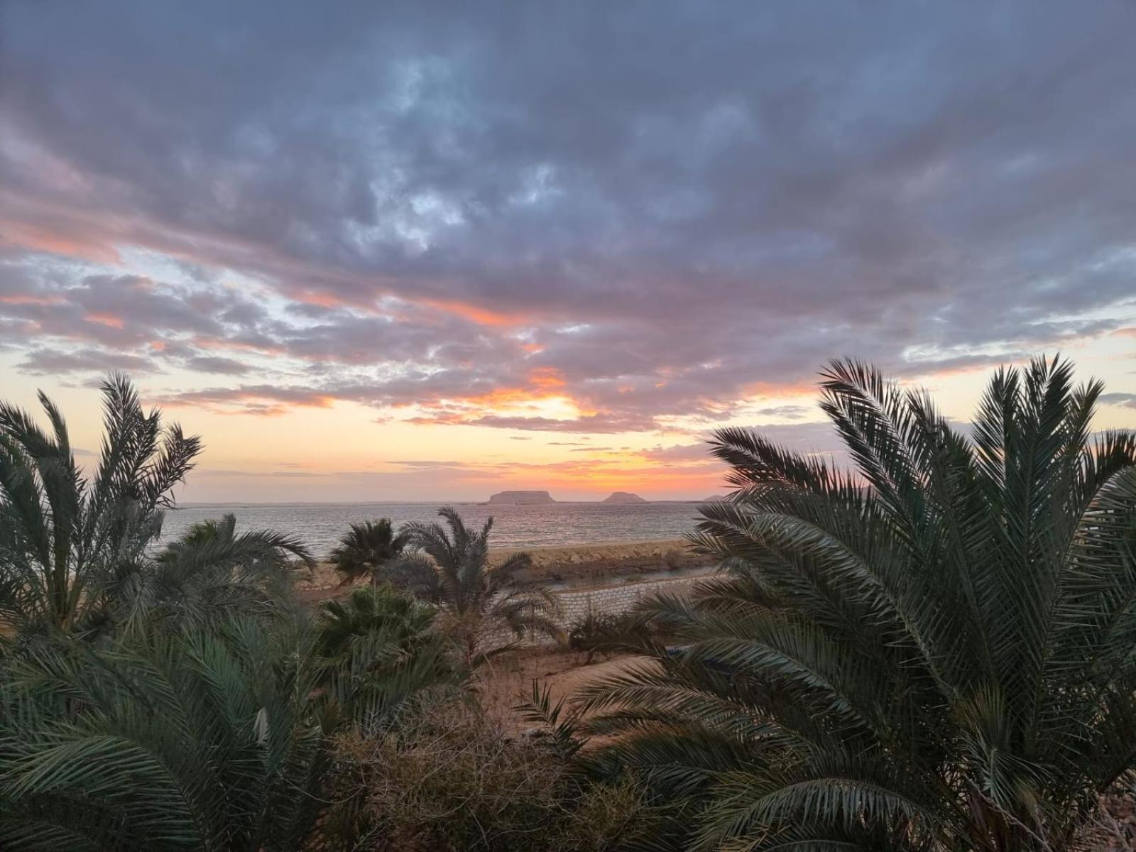 The Nest Otel Siwa Oasis Dış mekan fotoğraf