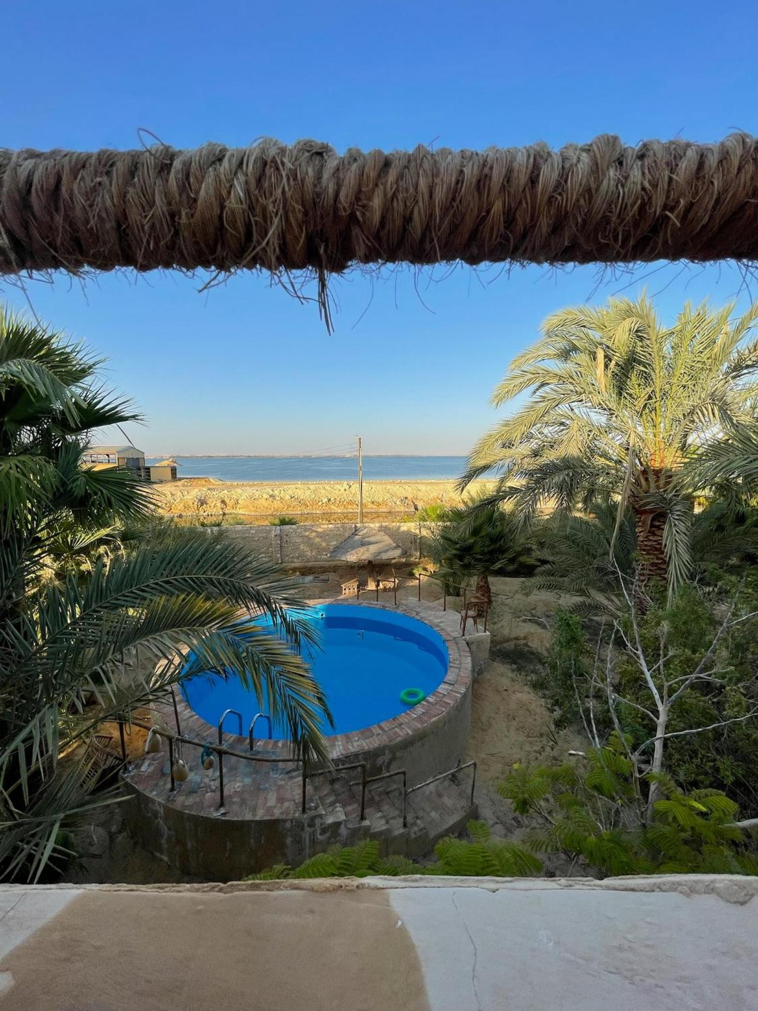 The Nest Otel Siwa Oasis Dış mekan fotoğraf