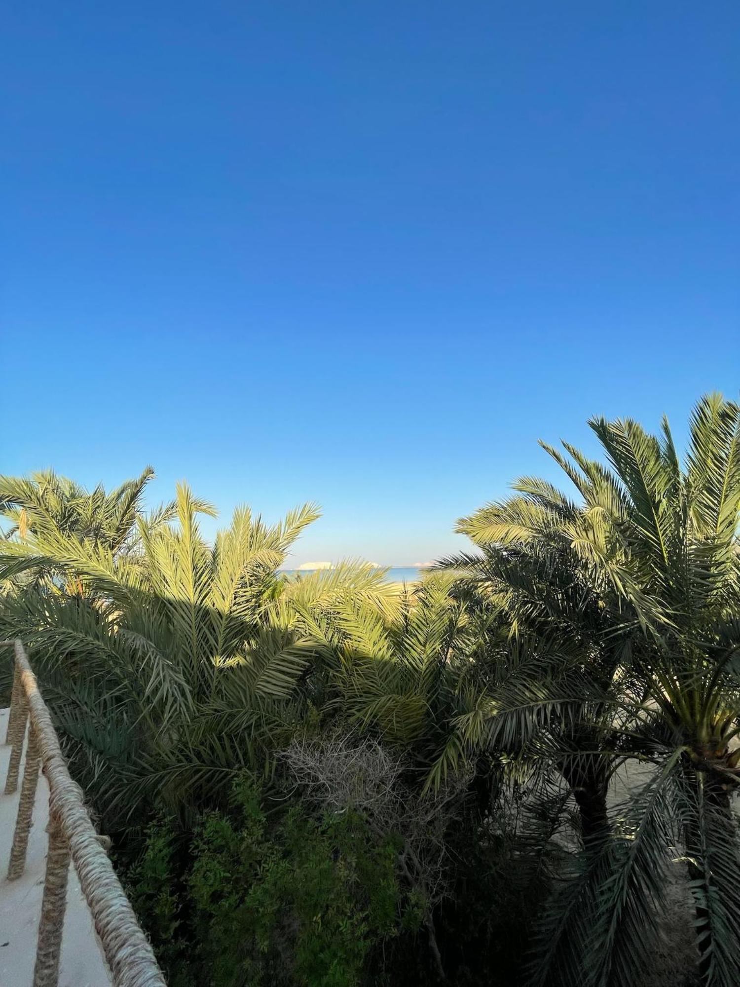 The Nest Otel Siwa Oasis Dış mekan fotoğraf