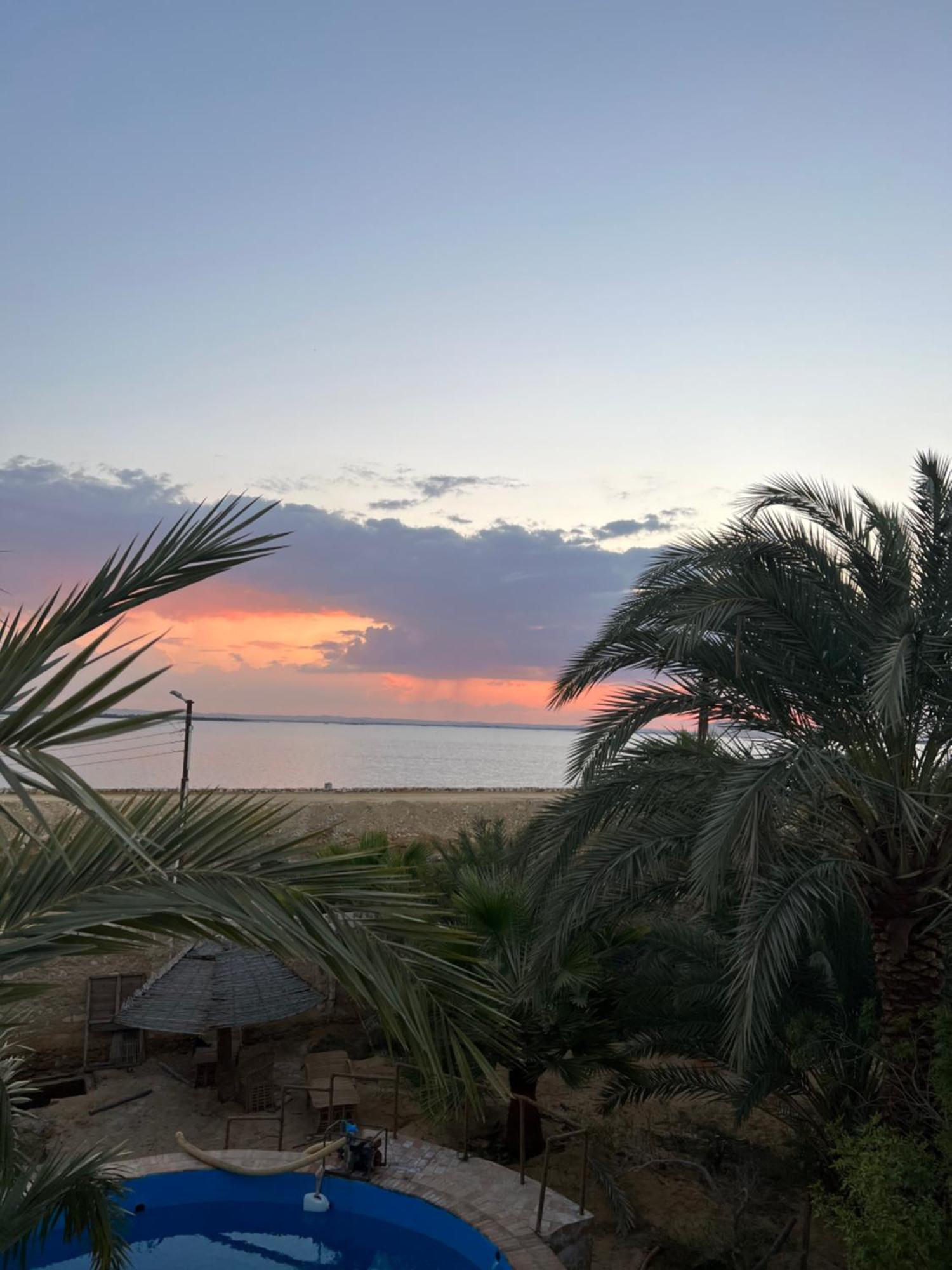 The Nest Otel Siwa Oasis Dış mekan fotoğraf