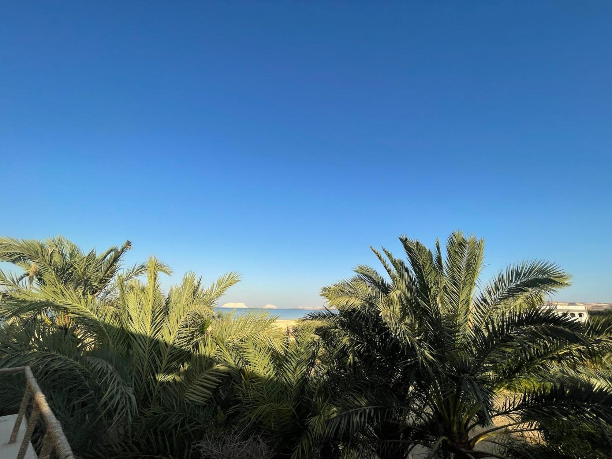 The Nest Otel Siwa Oasis Dış mekan fotoğraf