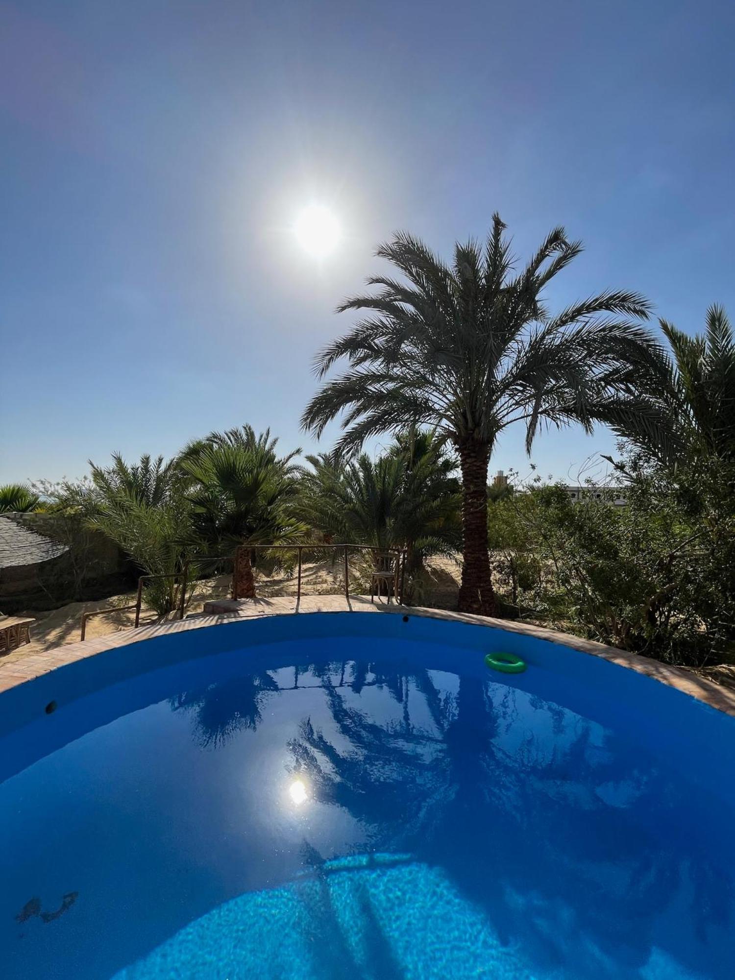 The Nest Otel Siwa Oasis Dış mekan fotoğraf