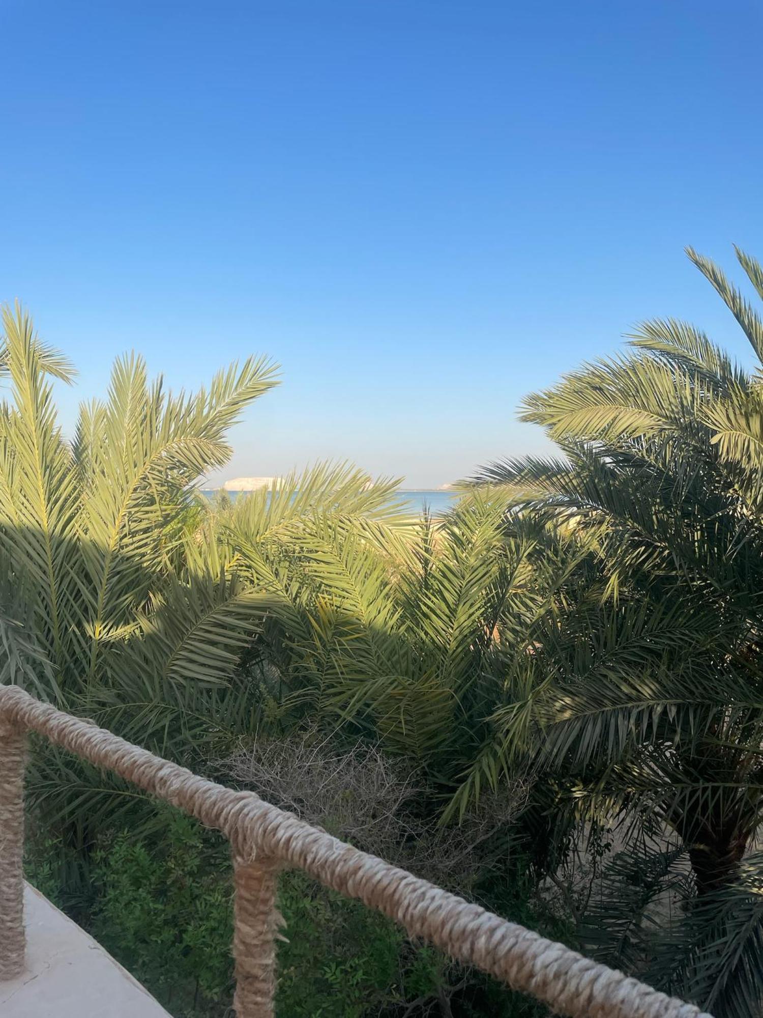 The Nest Otel Siwa Oasis Dış mekan fotoğraf