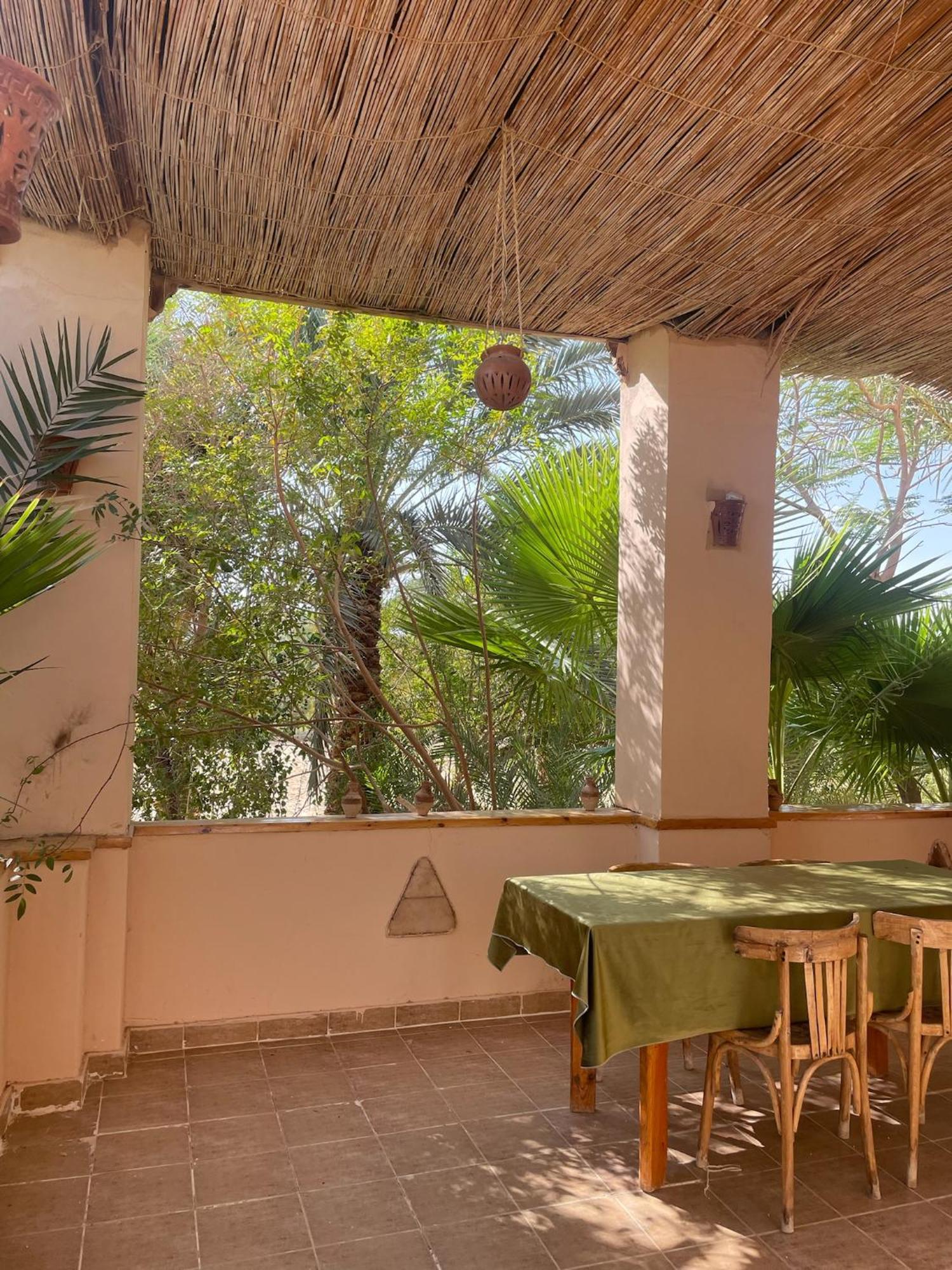 The Nest Otel Siwa Oasis Dış mekan fotoğraf