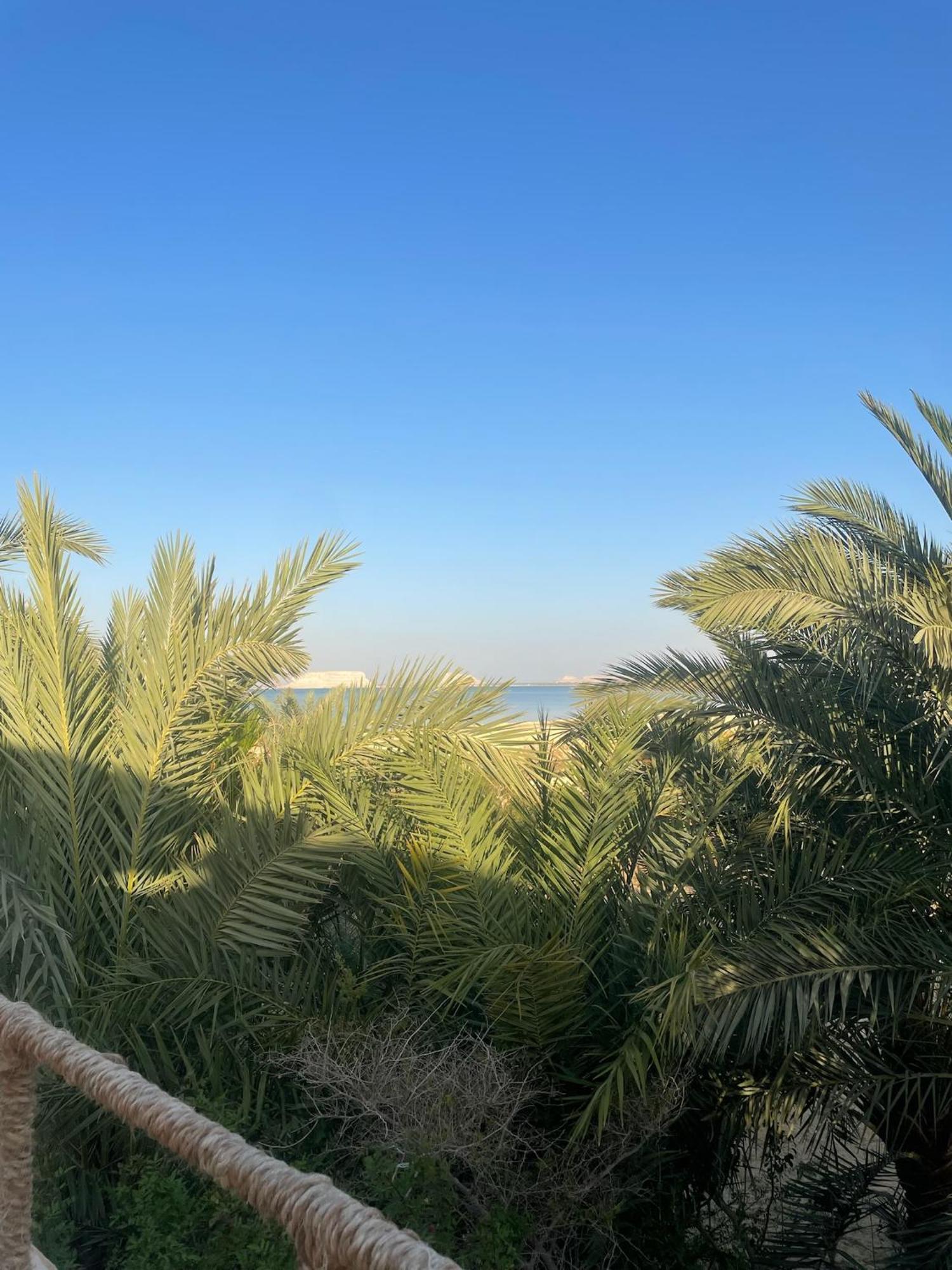 The Nest Otel Siwa Oasis Dış mekan fotoğraf